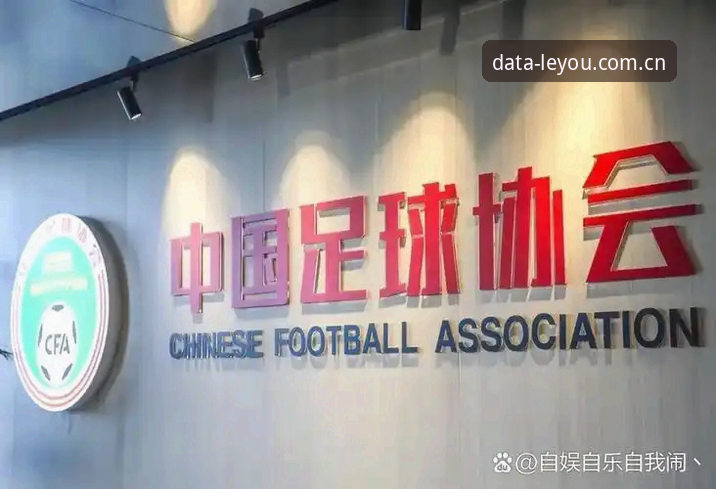 乐游官网地址安装教程 从足协第三批禁足名单看中国足球生态治理:乐游体育数据平台使用指南